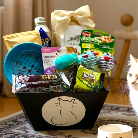 Celebrate Best Friends (kitty cat)