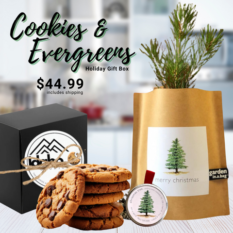 Cookies & Evergreens Holiday Gift Box