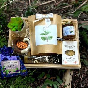 Minty Fresh (FREE NATIONWIDE SHIPPING OR LOCAL AREA DELIVERY!)